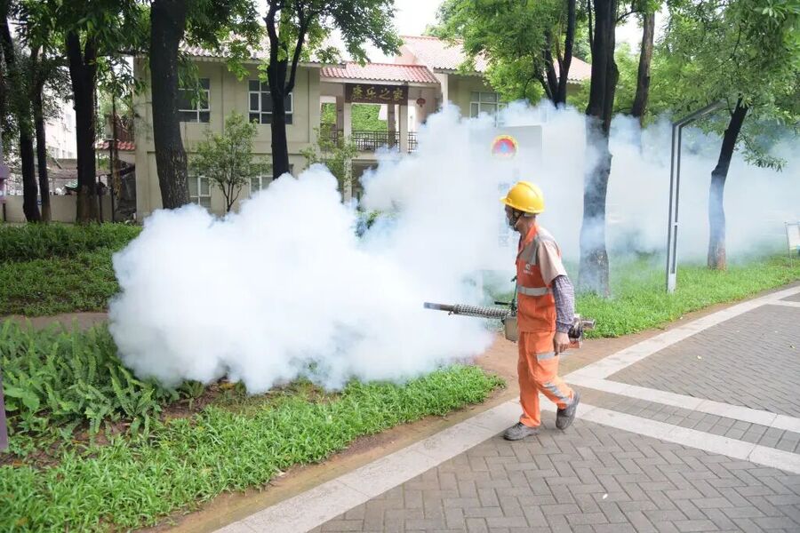 Dongguan chikungunya virus China insecticide