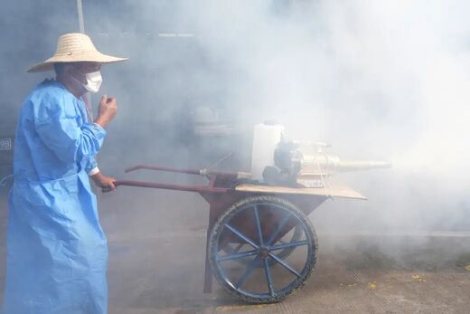 Dongguan chikungunya virus China insecticide