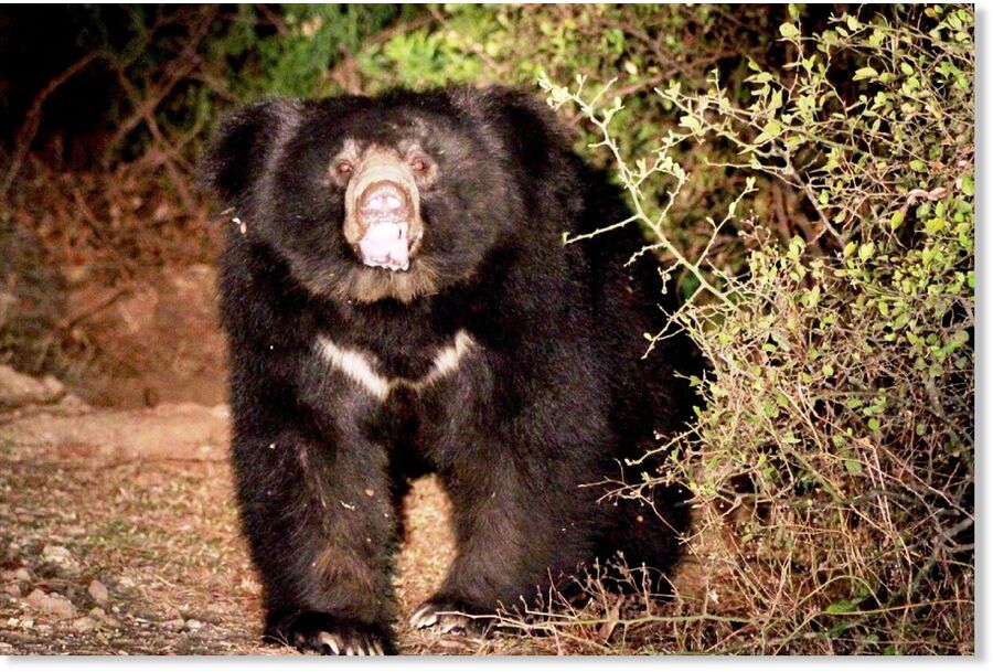 mmmmmm