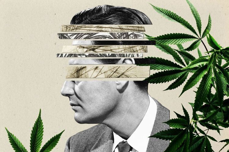 link cannabis schizophrenia marijuana graphic