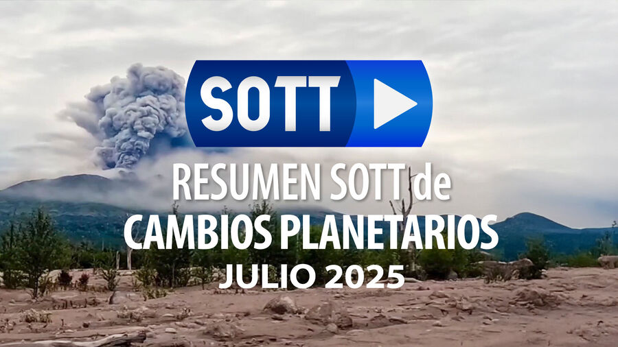 resumen sott