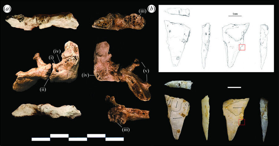 Clic para aumentar recovery archeology