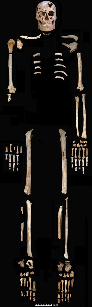 Clic para aumentar skeleton