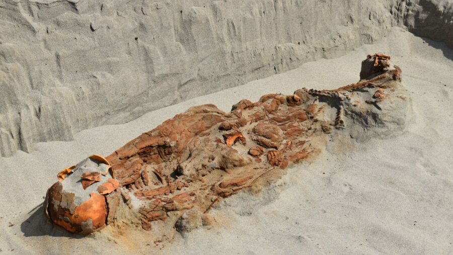 Human remains