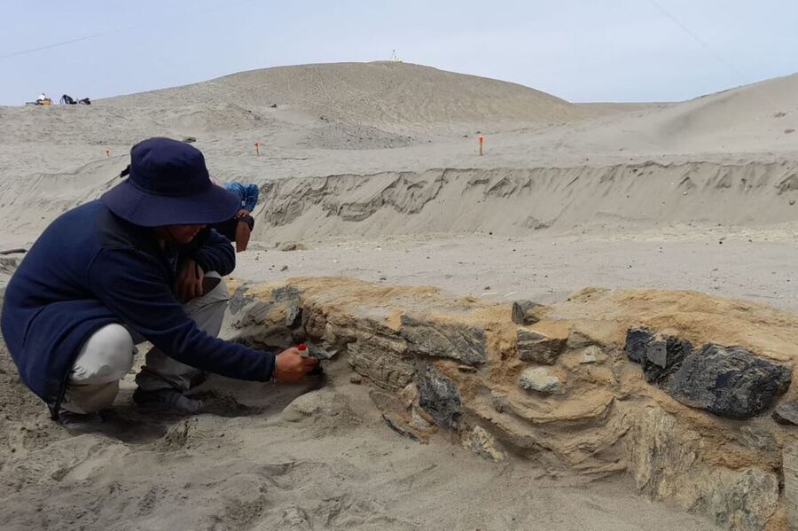 Clic para aumentar peru mummy