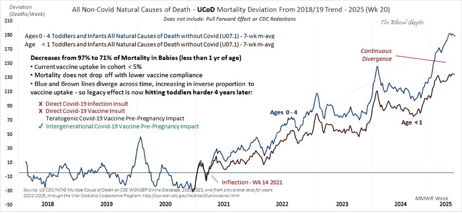 child mortality vaccine uptake mothers pregnancy