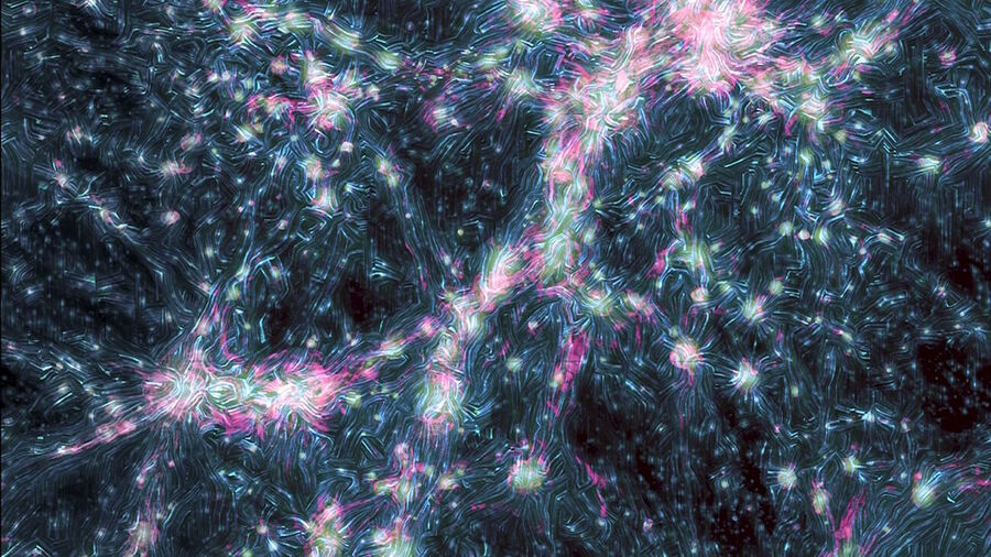 brain cosmos web cosmic structure comparison
