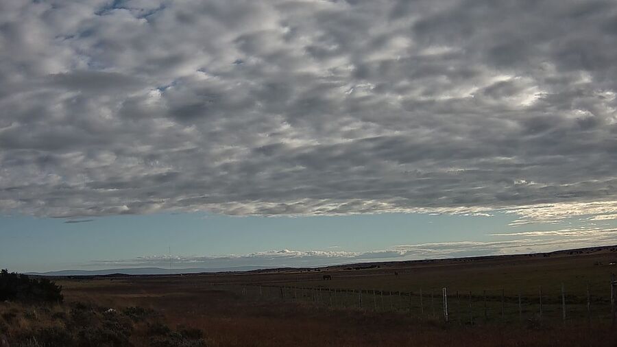 Clic para aumentar chile wildlife camera mysterious lights patagonia