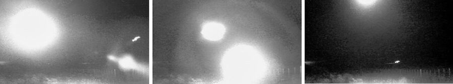 Clic para aumentar chile mystery lights wildlife camera