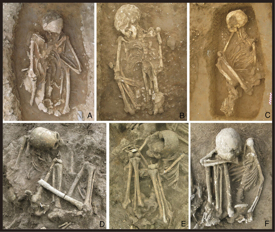 Clic para aumentar mummies