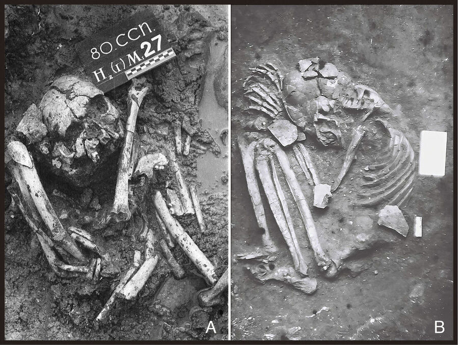 Clic para aumentar mummies