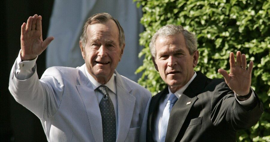 Bushes