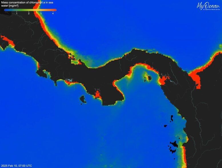 gulf of panama upwelling fail climate change