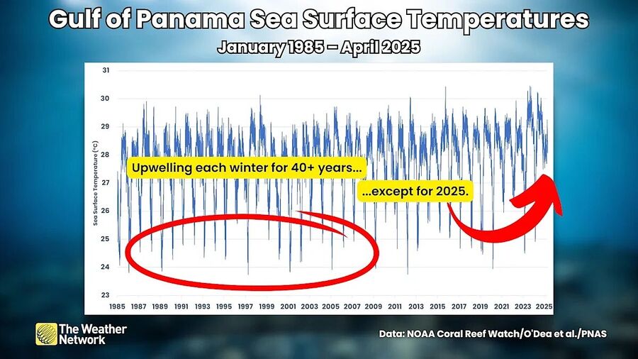 gulf of panama upwelling fail climate change