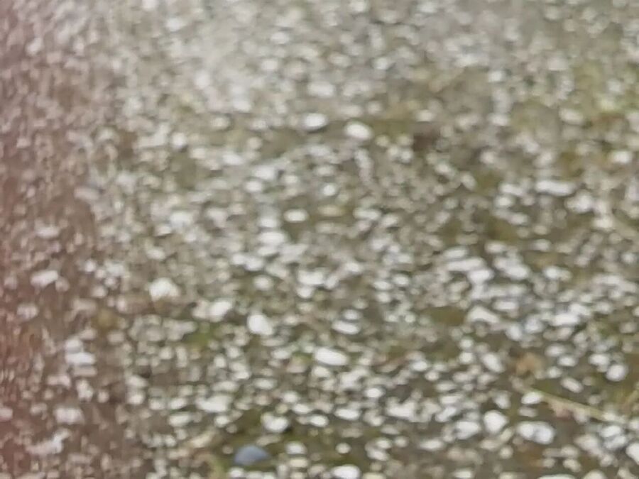 rain on pavement