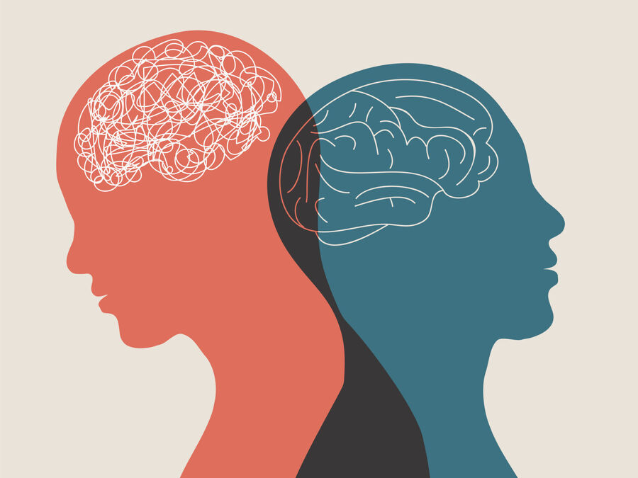 cerebros personas