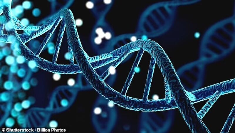Clic para aumentar DNA chain