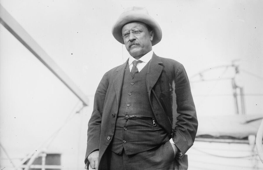 Clic para aumentar Teddy Roosevelt