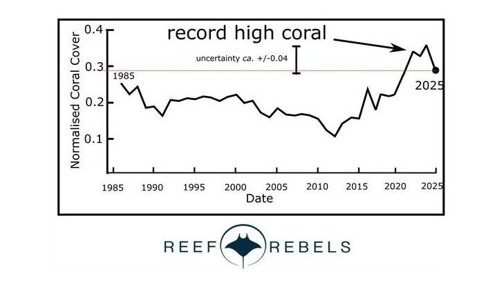 Clic para aumentar Reef Rebels