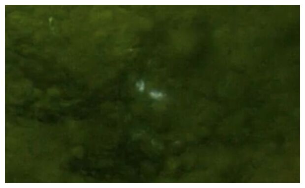 Flashes of microlightning