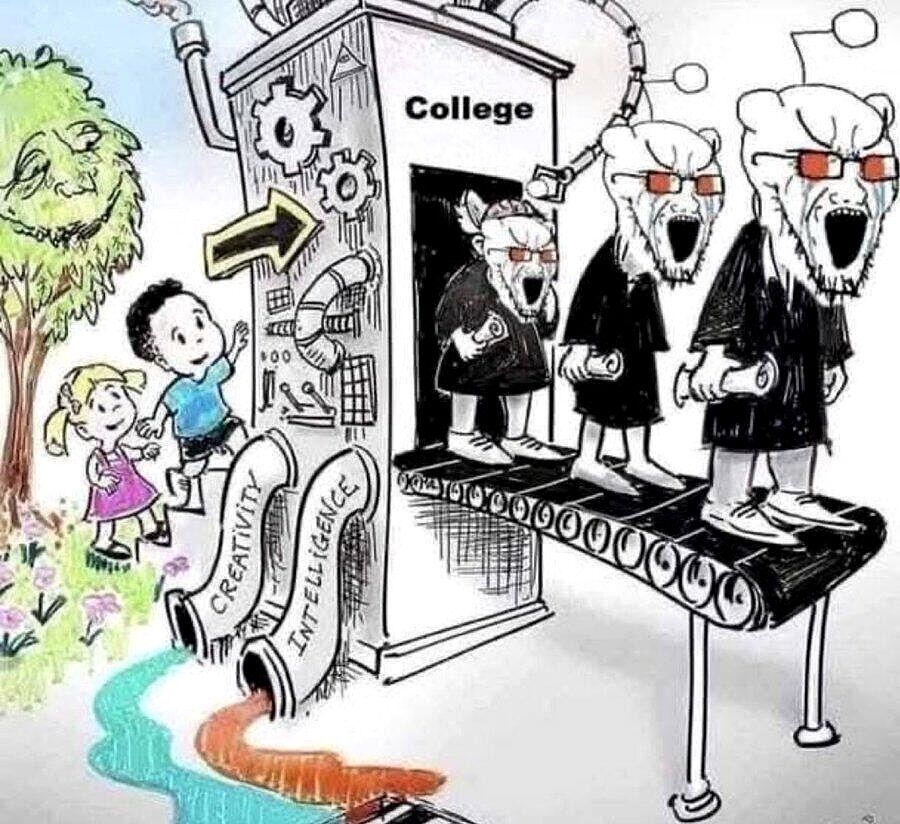 normal kids college transgender social contatgion