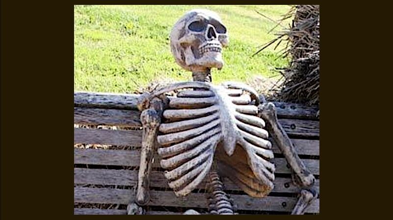 skeleton