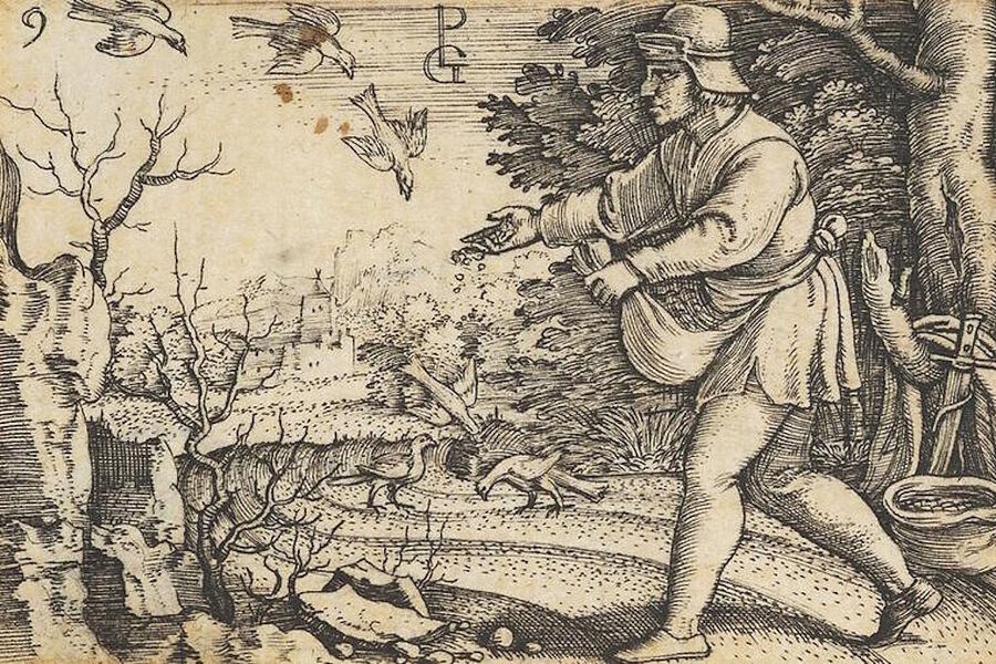 parable of the sower
