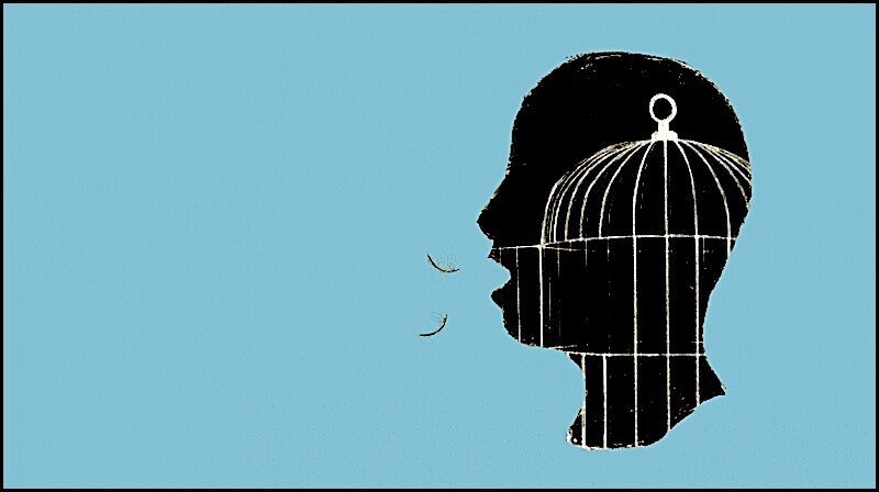 Clic para aumentar free speech cage