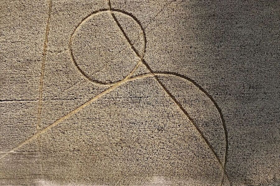 Clic para aumentar crop circle doodle argentina