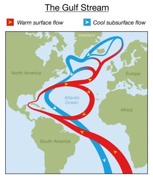 Gulf Stream