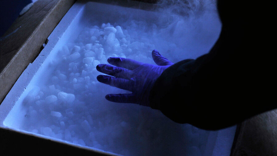 Ice hielo