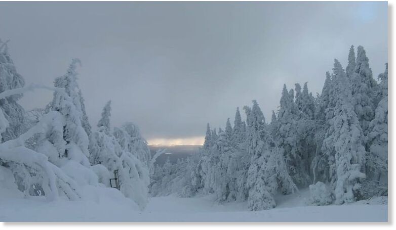 It’s a winter wonderland at Jay Peak, and the season is just getting started.