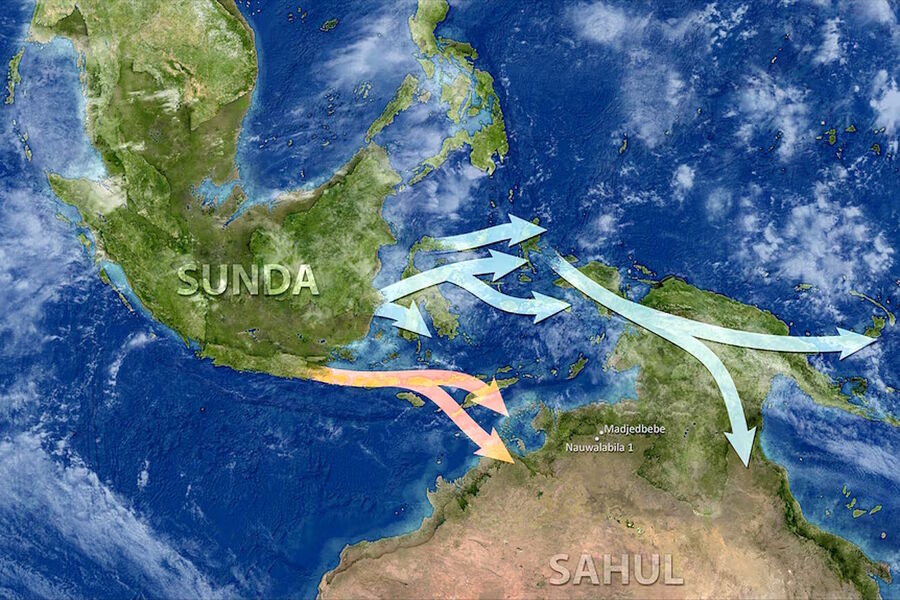 Clic para aumentar genetics aborigine migration indonesia australia