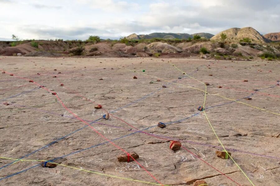 Clic para aumentar dinosaur footprints