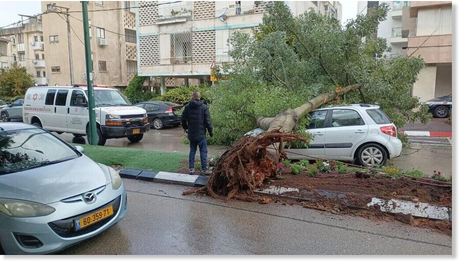 Clic para aumentar Tree falls onto passing car in Herzliya