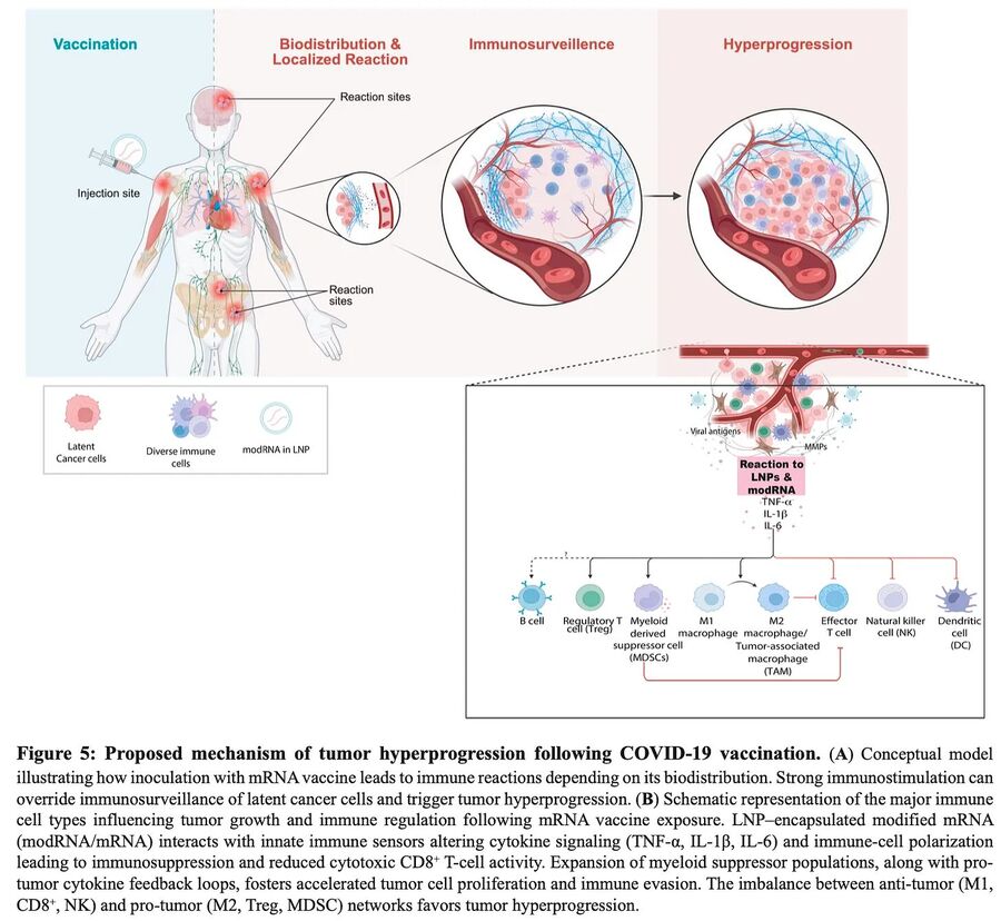 cancer mechanisms covid-19