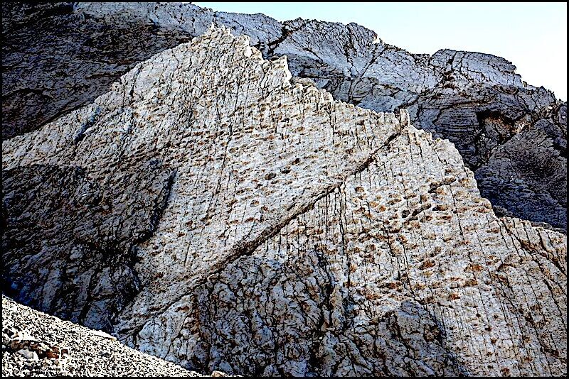 Prosauropod tracks