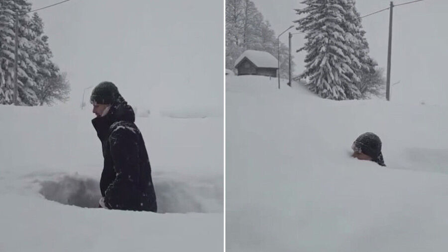Snow Sweeden