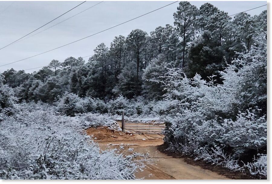 A rare snow is seen in Holt, Florida, on Sunday, Jan. 18, 2026.