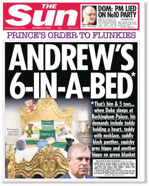 prince andrew the sun
