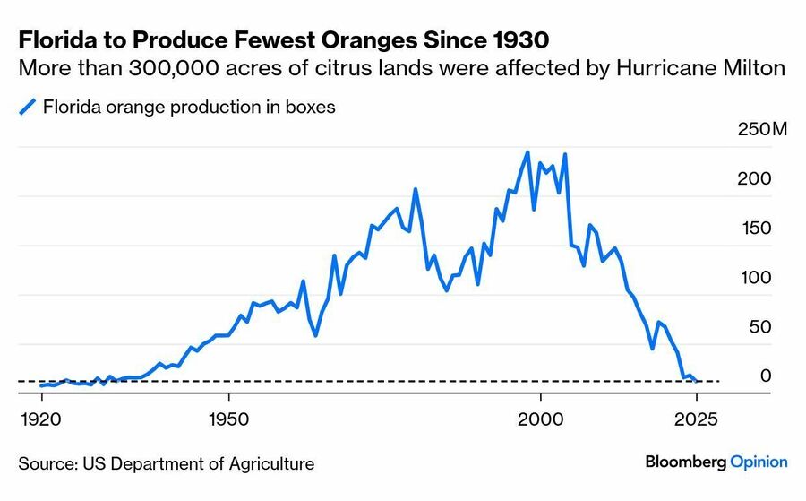 USDA  chart Florida oranges harvest