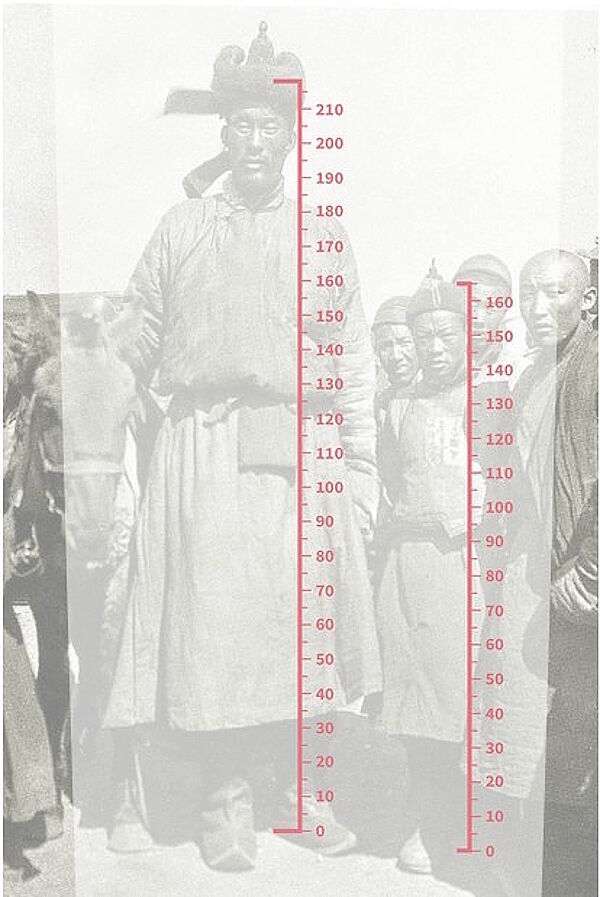 mongolian giant hight comparison