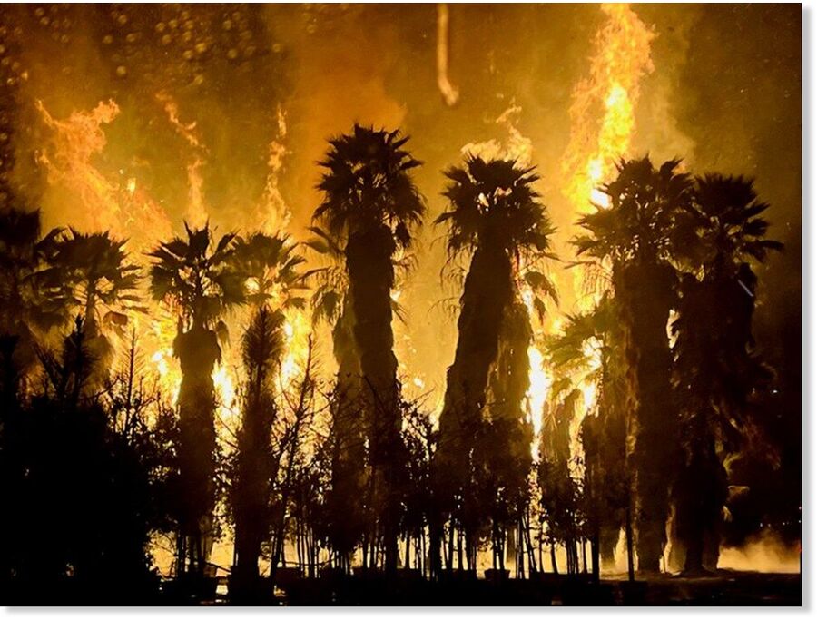 More than 100 trees in a palm tree grove in San Pasqual Valley were ignited by lightning strikes early Tuesday morning.