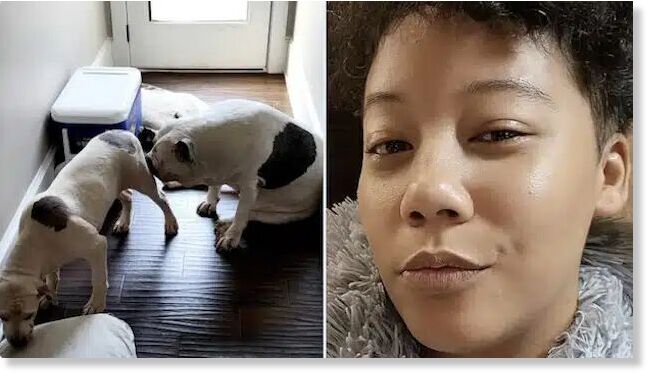 Mynoviah Tinsley, Snellville, Georgia woman mauled to death in dog attack at home residence. Cause of death ruled accidental after extreme blood loss from ‘multiple’ dog bites.