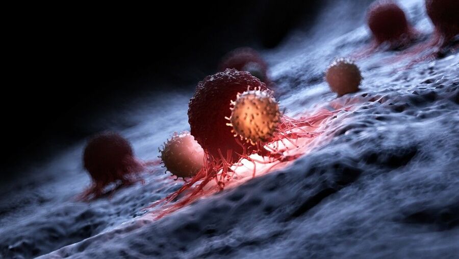 cancer cell
