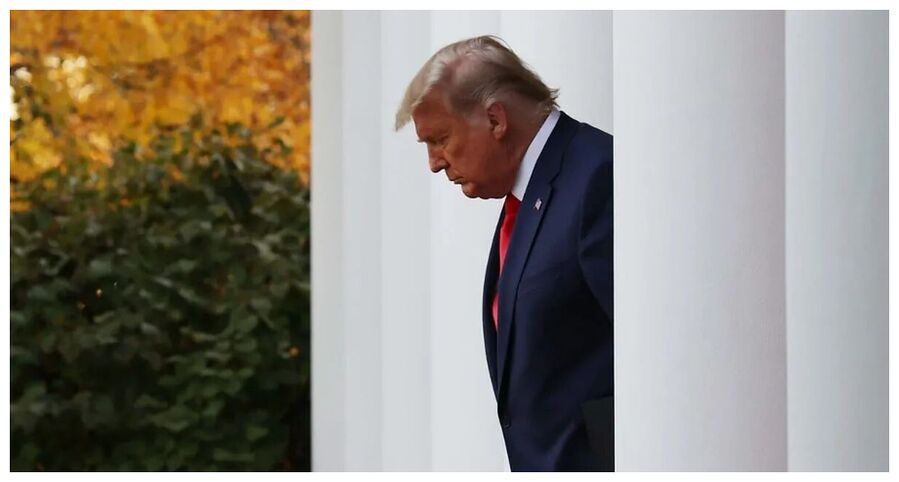Clic para aumentar DJT go out