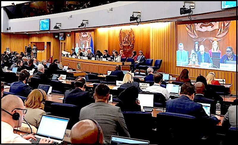 Clic para aumentar The World Maritime Organization