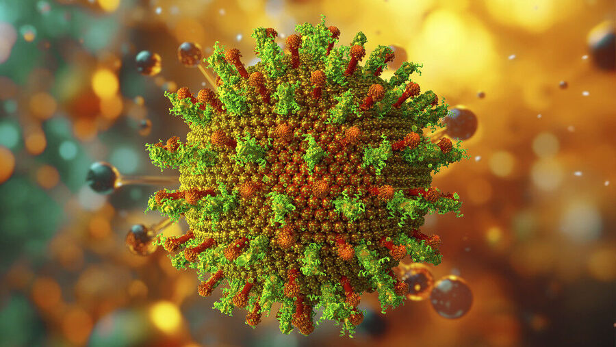 Virus