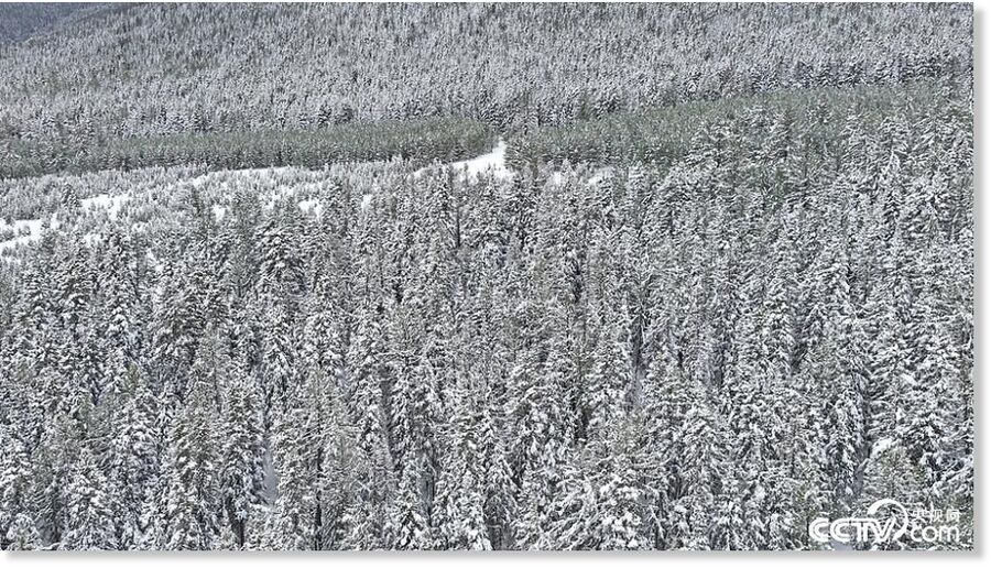 The earth was covered in a blanket of white snow, with distant mountains blanketed in pristine white, creating a unique and beautiful scene of 
