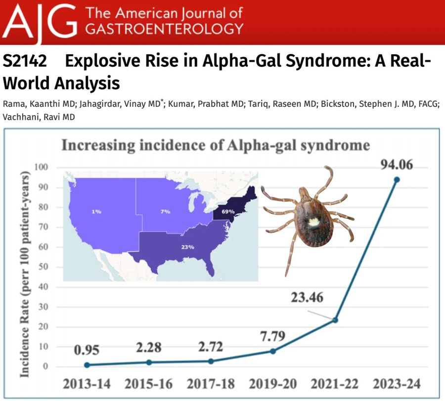 alpha gal syndrome